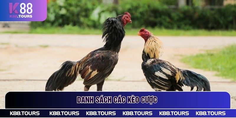 Khám phá thêm về đá gà K88