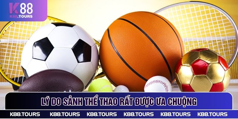 Lý do sảnh thể thao rất được ưa chuộng