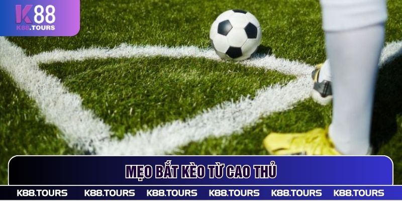 Mẹo bắt kèo từ cao thủ