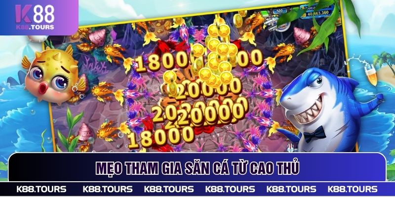 Mẹo tham gia săn cá từ cao thủ