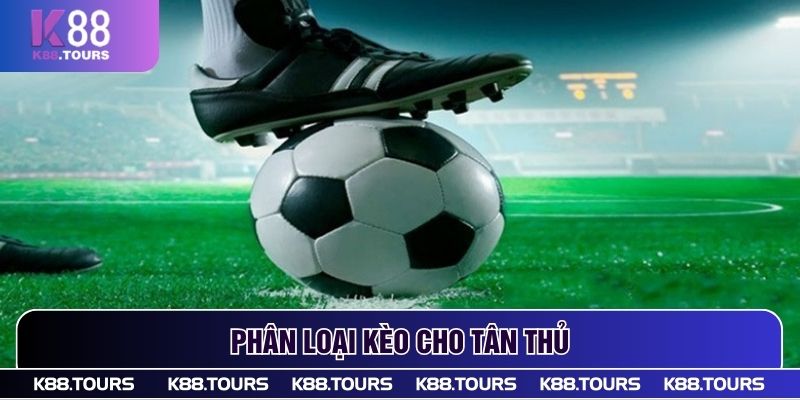 Phân loại kèo cho tân thủ
